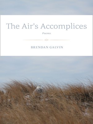 cover image of The Air's Accomplices